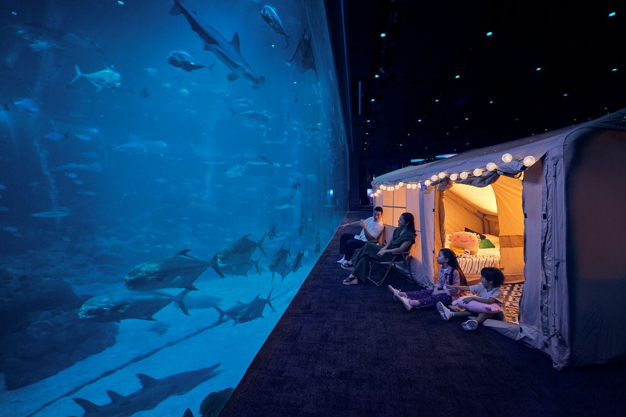 Ocean Dreams at Singapore Oceanarium, Resorts World Sentosa